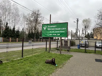 GABINET WETERYNARYJNY lek.wet. Joanna Pokora